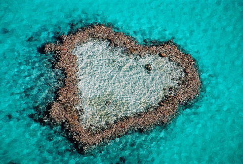 Poinciana 112 - Accommodation Main Beach 21