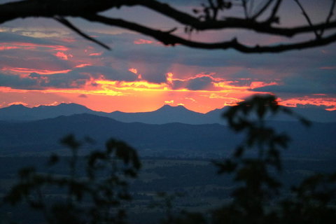 The Polish Place - Accommodation Main Beach 4