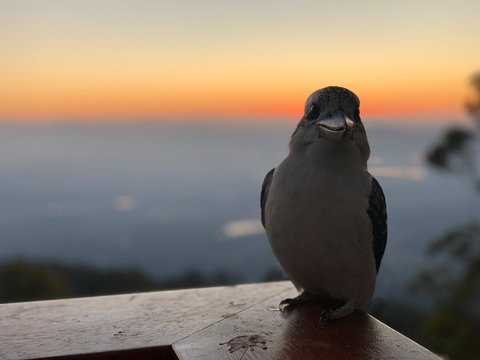 The Polish Place - Accommodation Main Beach 2