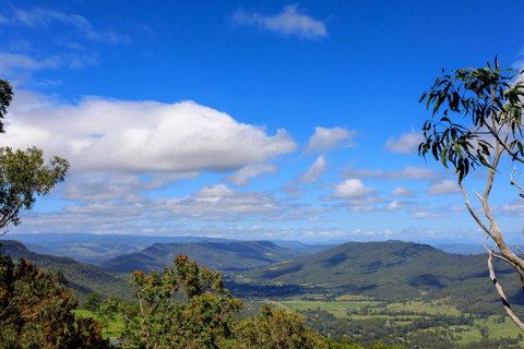 The Polish Place - Accommodation Main Beach 10