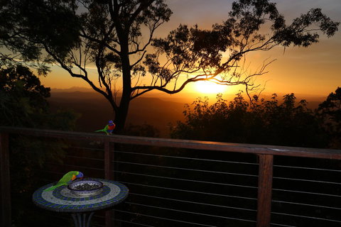 The Polish Place - Accommodation Main Beach 17