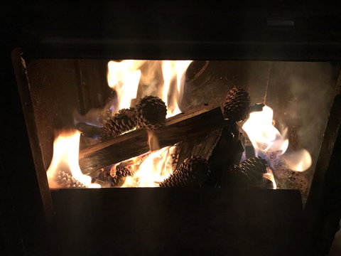 The Polish Place - Accommodation Main Beach 7