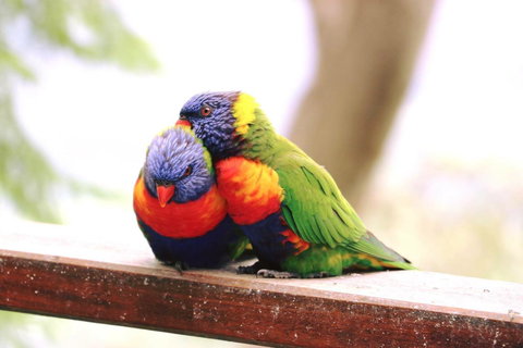 The Polish Place - Accommodation Main Beach 9