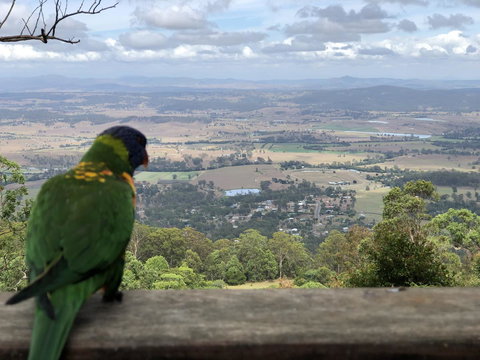 The Polish Place - Accommodation Main Beach 6