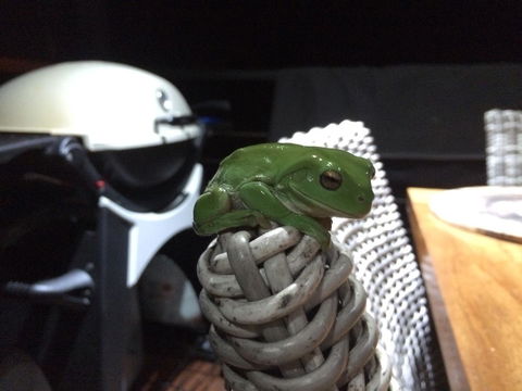 Bed & Breakfast 1 Bedroom Guest House - Accommodation Main Beach 43