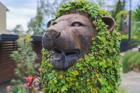 Bed & Breakfast 1 Bedroom Guest House - Accommodation Main Beach 44