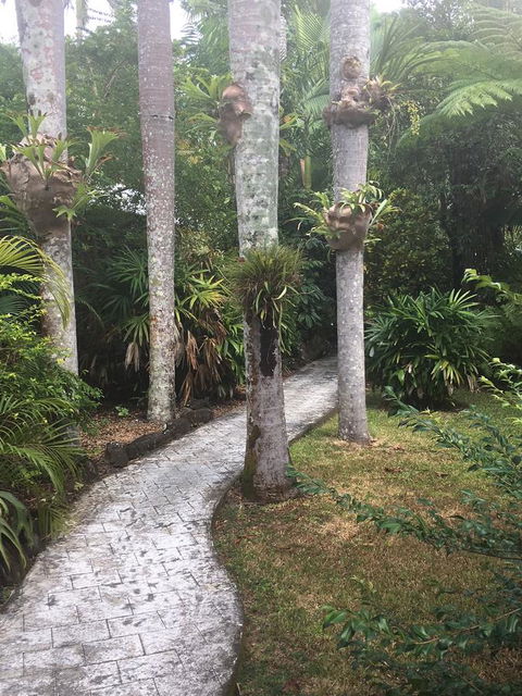 Eco Village Mission Beach - Accommodation Main Beach 6