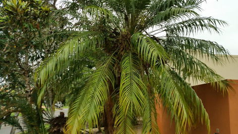 Hepburn Holiday Haven - Accommodation Main Beach 26