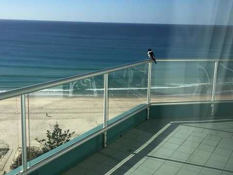 Ocean Plaza Resort - Accommodation Main Beach 28