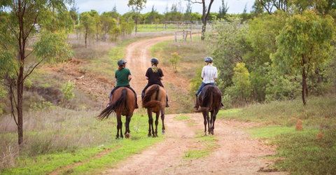Ironbark House - Accommodation Main Beach 22