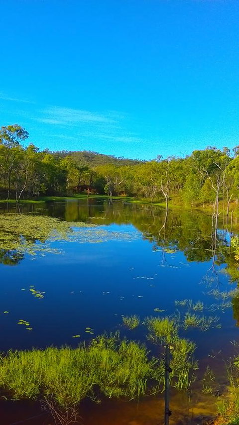 Ironbark House - Accommodation Main Beach 21