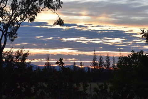 Ironbark House - Accommodation Main Beach 40