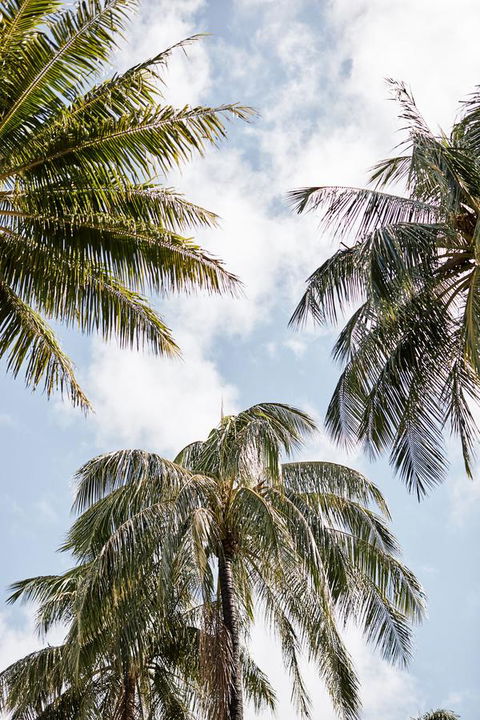 Novotel Cairns Oasis Resort - Accommodation Main Beach 9