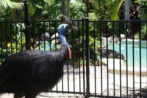 Boutique Bungalows - Accommodation Main Beach 17