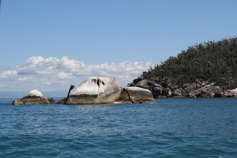 Boutique Bungalows - Accommodation Main Beach 24