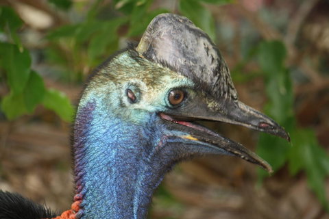 Boutique Bungalows - Accommodation Main Beach 27