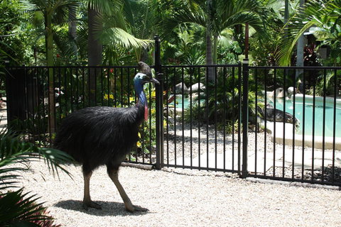 Boutique Bungalows - Accommodation Main Beach 15