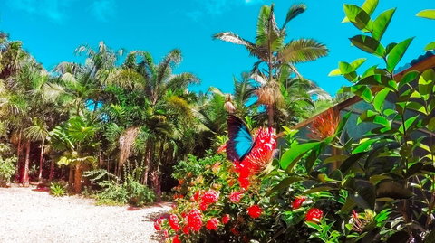 Boutique Bungalows - Accommodation Main Beach 14