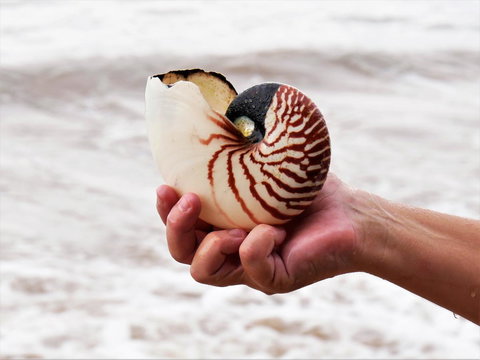 Boutique Bungalows - Accommodation Main Beach 9