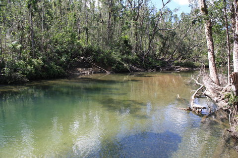 Boutique Bungalows - Accommodation Main Beach 25