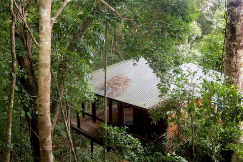 Cairns Rainforest Retreat - Accommodation Main Beach 0