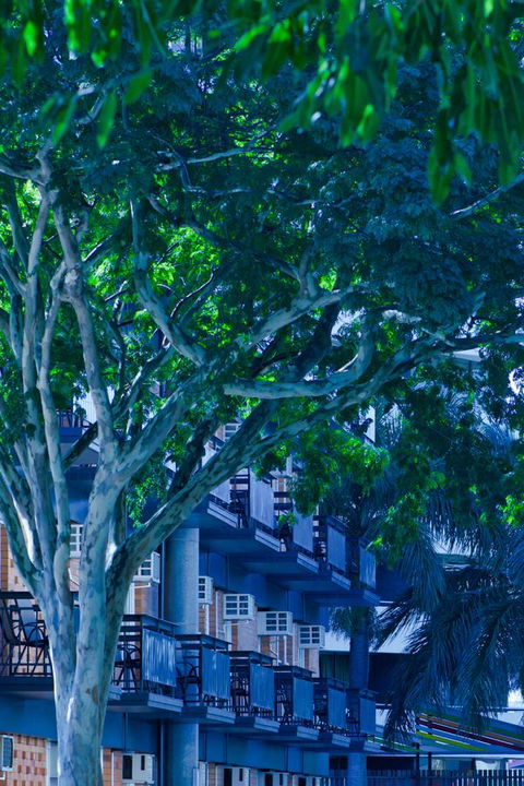 Soho Brisbane - Accommodation Main Beach 12