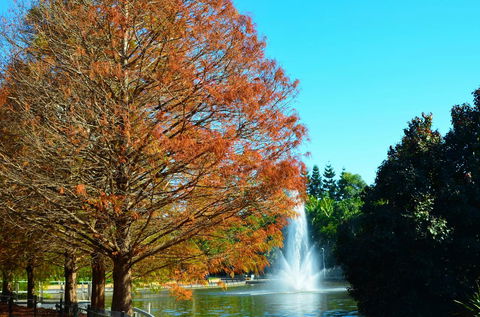 Soho Brisbane - Accommodation Main Beach 7