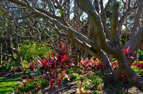 Soho Brisbane - Accommodation Main Beach 1