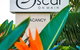 Oscar On Main Beach Resort - thumb 11