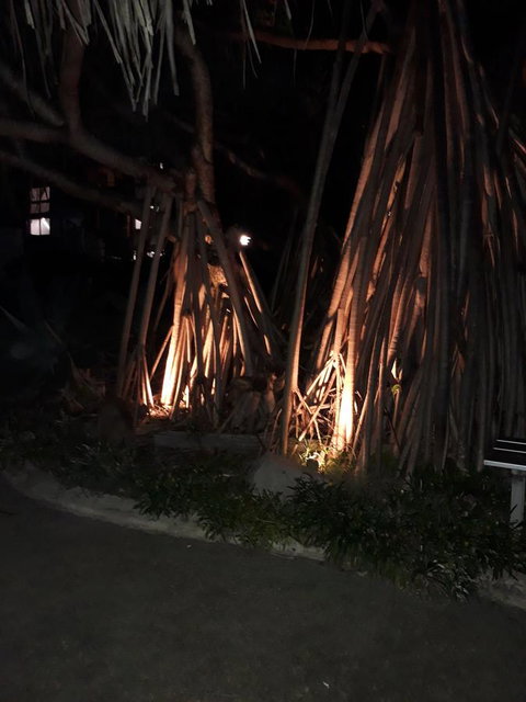 Pandanus Coolum Beach - Accommodation Main Beach 10