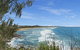 Pandanus Coolum Beach - thumb 17