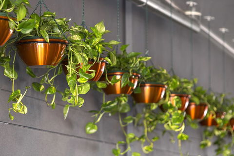 Hotel Grand Chancellor Brisbane - Accommodation Main Beach 13