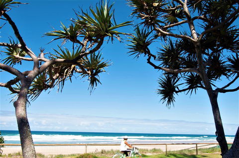Grande Florida Beachside Resort - Accommodation Main Beach 34