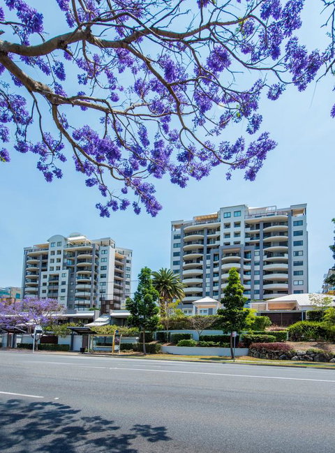 The Oasis Apartments - Accommodation Main Beach 2