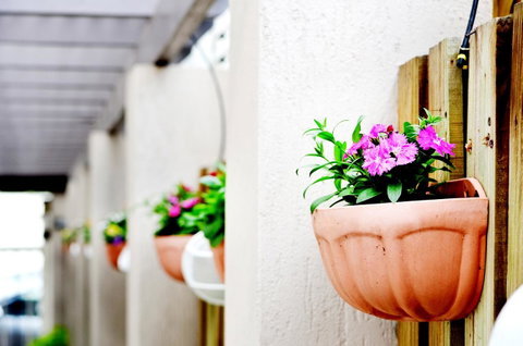 Spring Hill Mews Apartments - Accommodation Main Beach 12