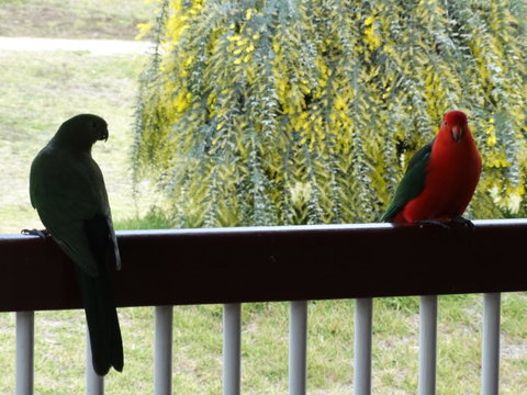 Loughmore House - Accommodation Main Beach 9
