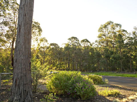 Waters Edge Margaret River Est 2010 - Accommodation Main Beach 1