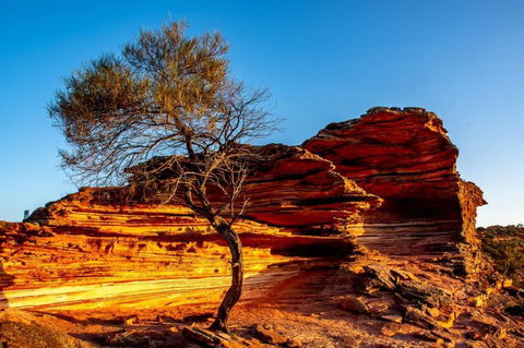 Waterside House Kalbarri - Accommodation Main Beach 2