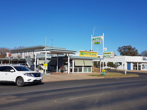 Wattle Tree Motel - Accommodation Main Beach 0