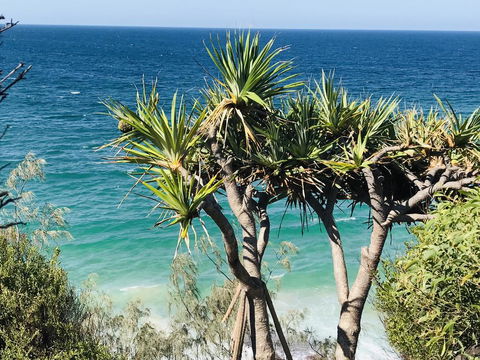 Waves And White Horses Seaview Retreat (adults Only) - Accommodation Main Beach 0