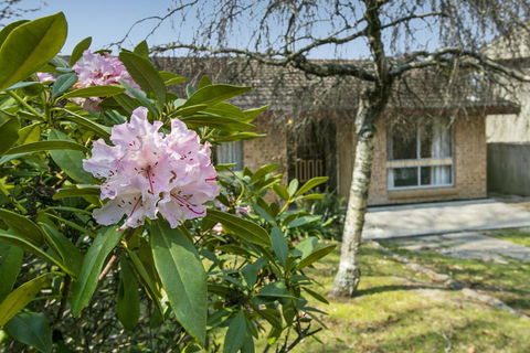 Wentworth Rose - Accommodation Main Beach 2