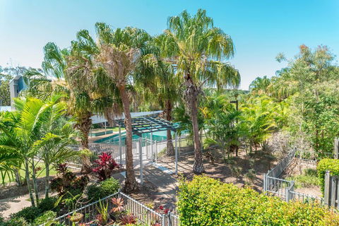 Whalecove Apartments - Accommodation Main Beach 0