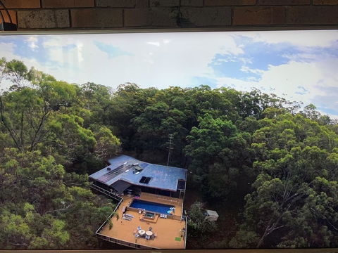 Where The Forest Meets The Sea On The Gold Coast - Accommodation Main Beach 1