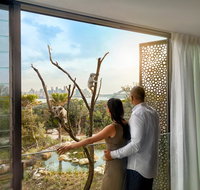 Wildlife Retreat at Taronga - Accommodation Main Beach