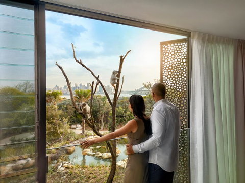 Wildlife Retreat At Taronga - Accommodation Main Beach 0