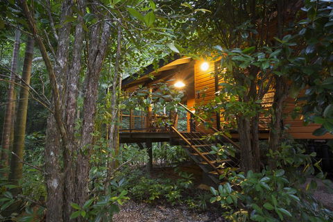Wildwood - Accommodation Main Beach 0