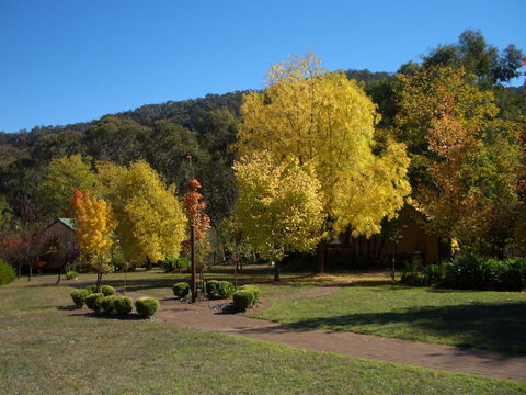 Willowlake Cottages - Accommodation Main Beach 0