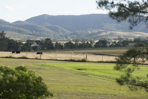 Windarra Lodge - Accommodation Main Beach 3