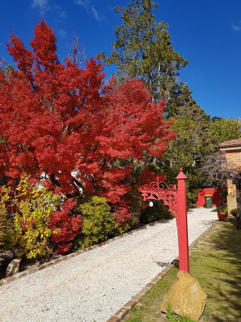 Winston Cottage At Three Sisters - Accommodation Main Beach 1