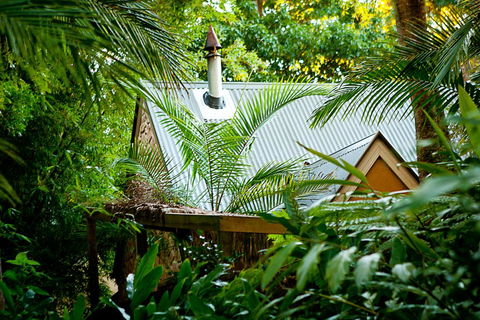 Witches Falls Cottages - Accommodation Main Beach 0
